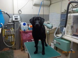 DSCN0984