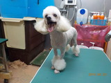 DSCN1065