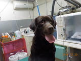 DSCN3654