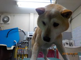 DSCN4827