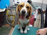 DSCN0982