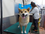 DSCN3761