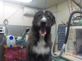 DSCN1092