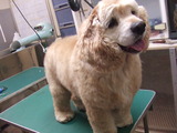 2013年12月28日 079