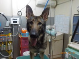 DSCN4794