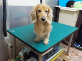 DSCN3496
