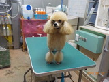 DSCN1153