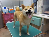 DSCN0883