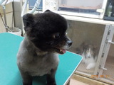 DSCN0954