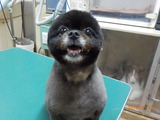 DSCN0957