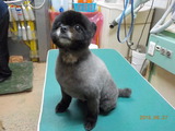 DSCN0961