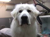 2013年12月28日 026