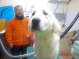 DSCN3532