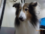 DSCN0943