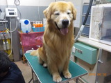 DSCN1131