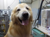 DSCN0832
