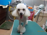 DSCN1069