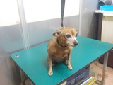 DSCN5630