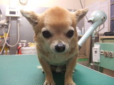 2013年12月29日 062