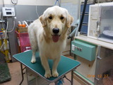 DSCN3515