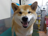 DSCN3717