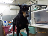 DSCN0910