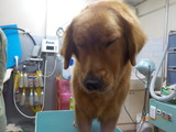 DSCN2856