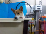DSCN4771