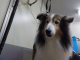 DSCN0935