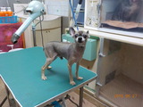 DSCN0876
