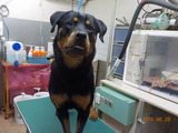 DSCN0994