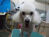 DSCN1071