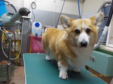 DSCN0912