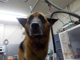 DSCN4725