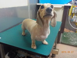 DSCN9500