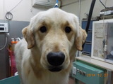DSCN3517