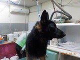 DSCN5700