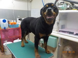 DSCN0790