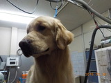 DSCN5670