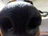 DSCN0907