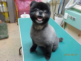 DSCN0965