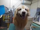 DSCN9416