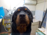 DSCN5736