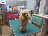 DSCN1150