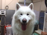2013年12月27日 038