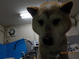 DSCN4828
