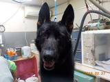 DSCN5704