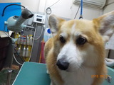DSCN0913