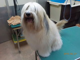 DSCN9466