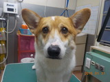DSCN4779